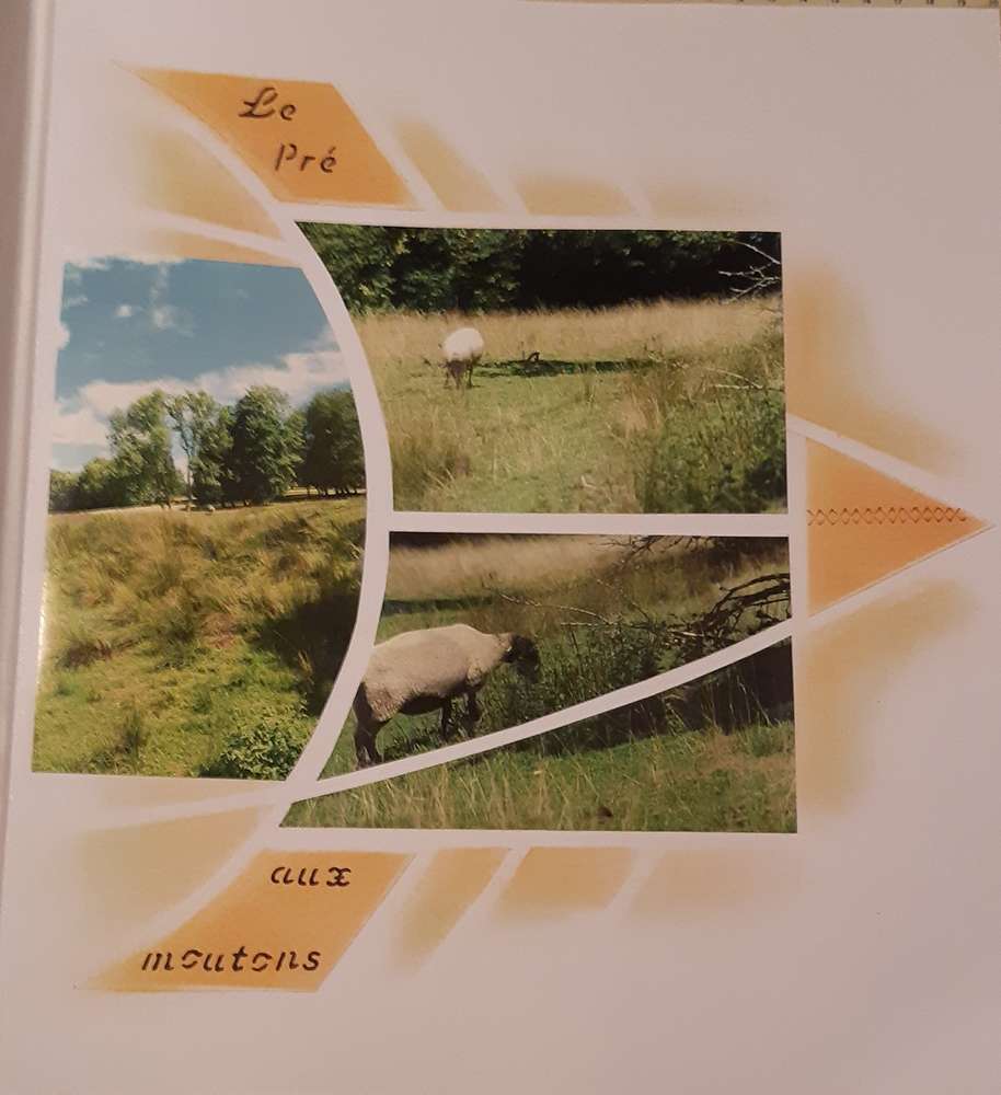 Le pré aux moutons