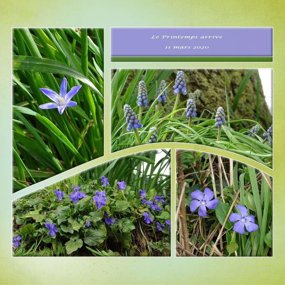 Le printemps arrive