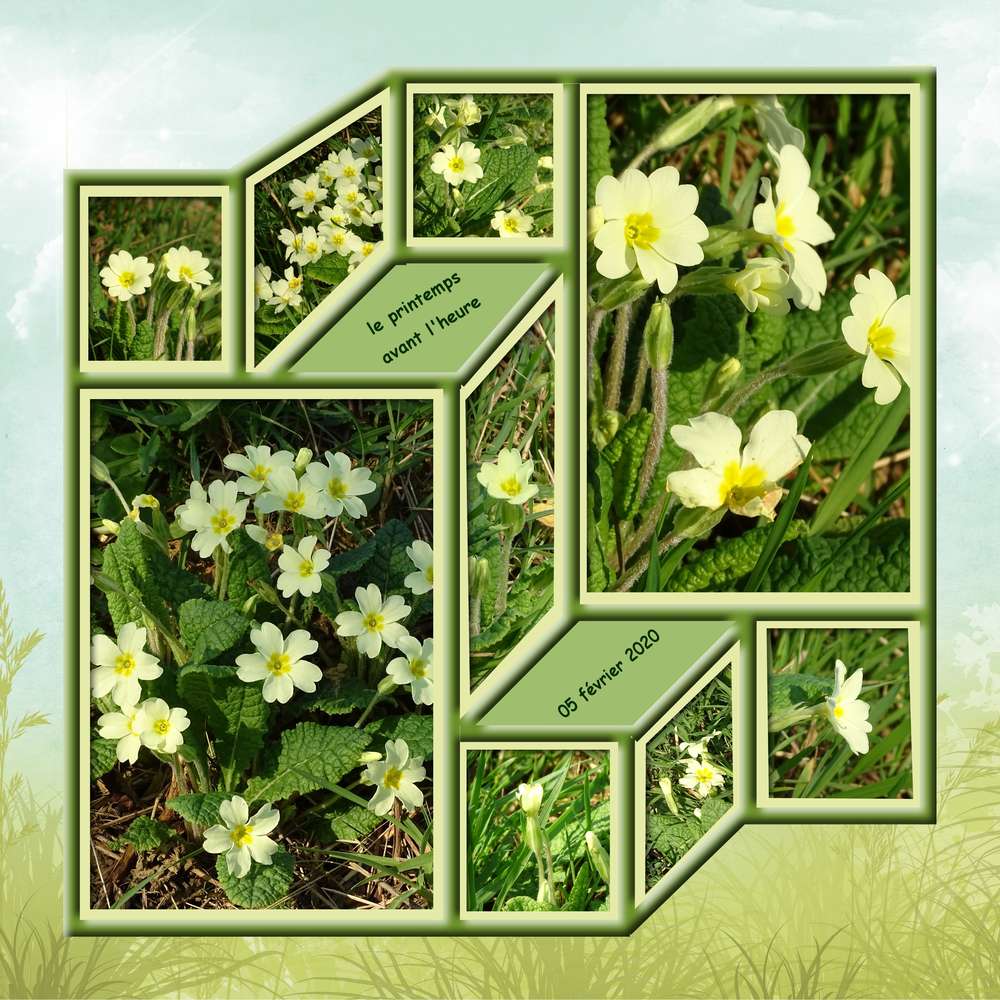 Le Printemps avant l'heure............