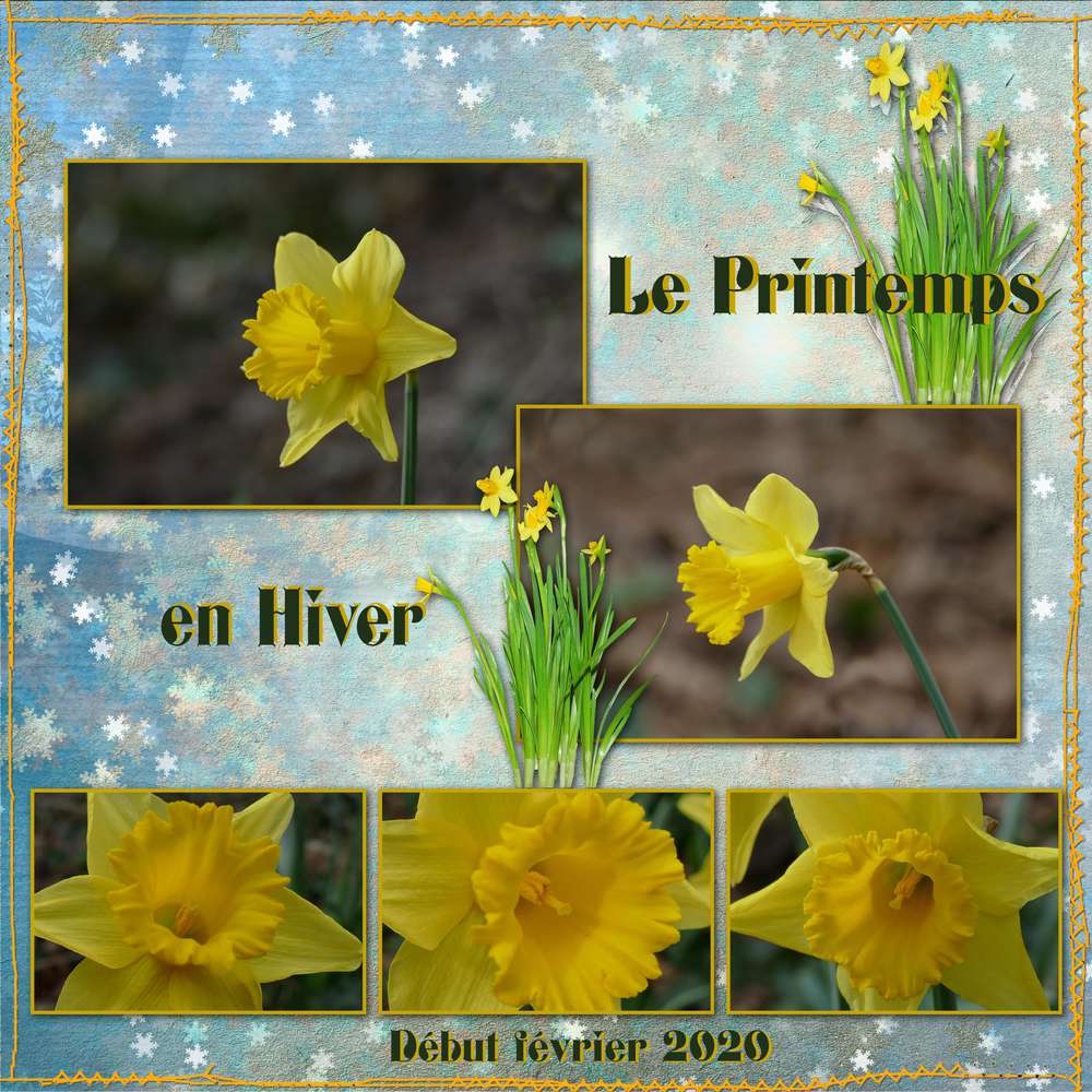 Le printemps en hiver