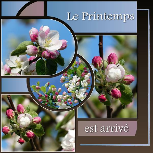 LE PRINTEMPS EST ARRIVE