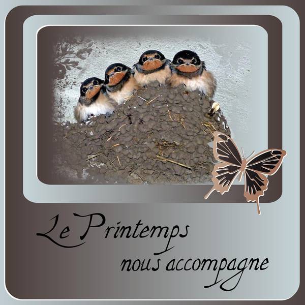 LE PRINTEMPS NOUS ACCOMPAGNE