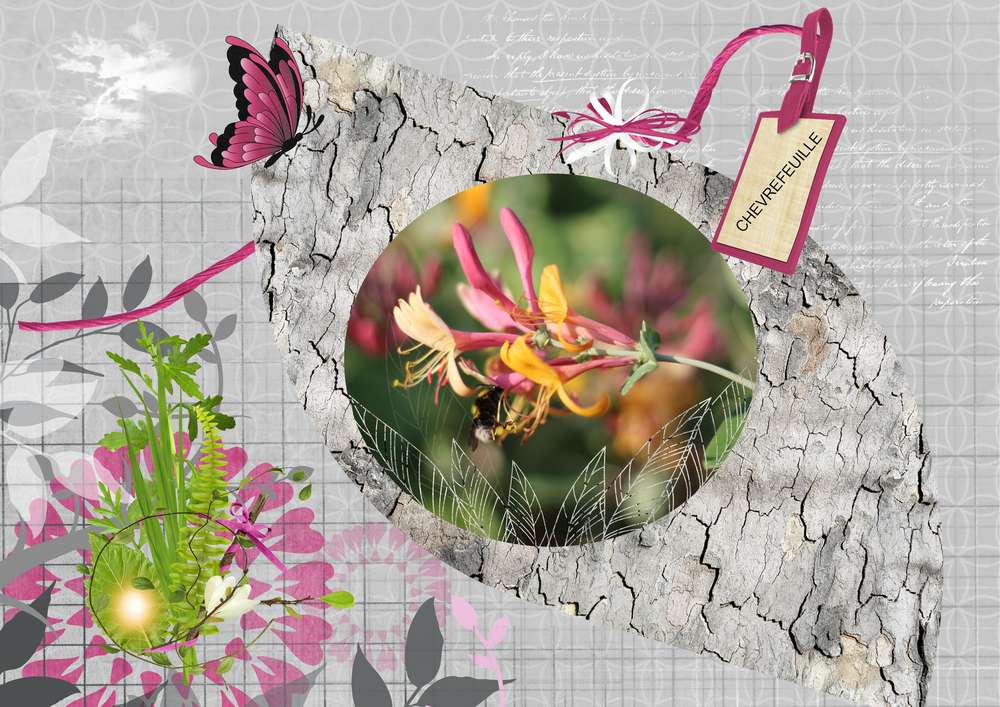 Le printemps