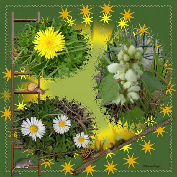 le printtemps des près