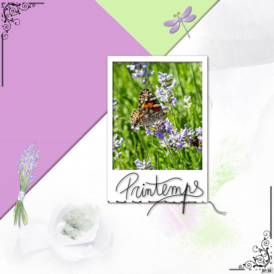 le retour du printemps 2024.jpg