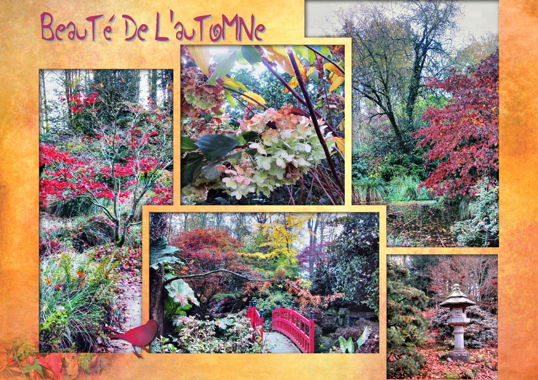 Le Rouge de l'automne.jpg