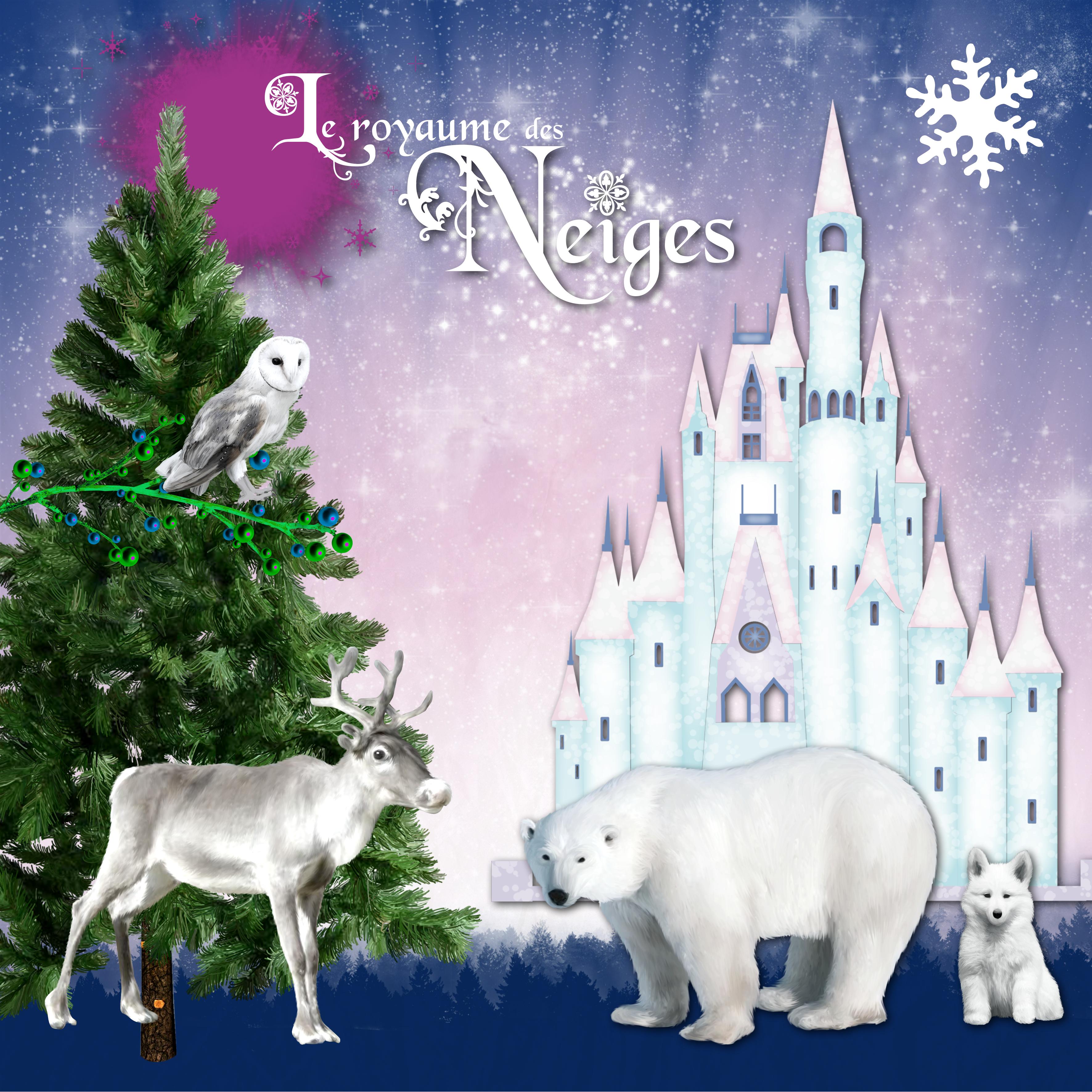 le royaume des neiges defikit.jpg