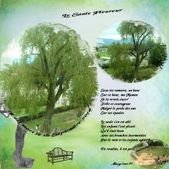 LE SAULE - DÉFI MARTINAS