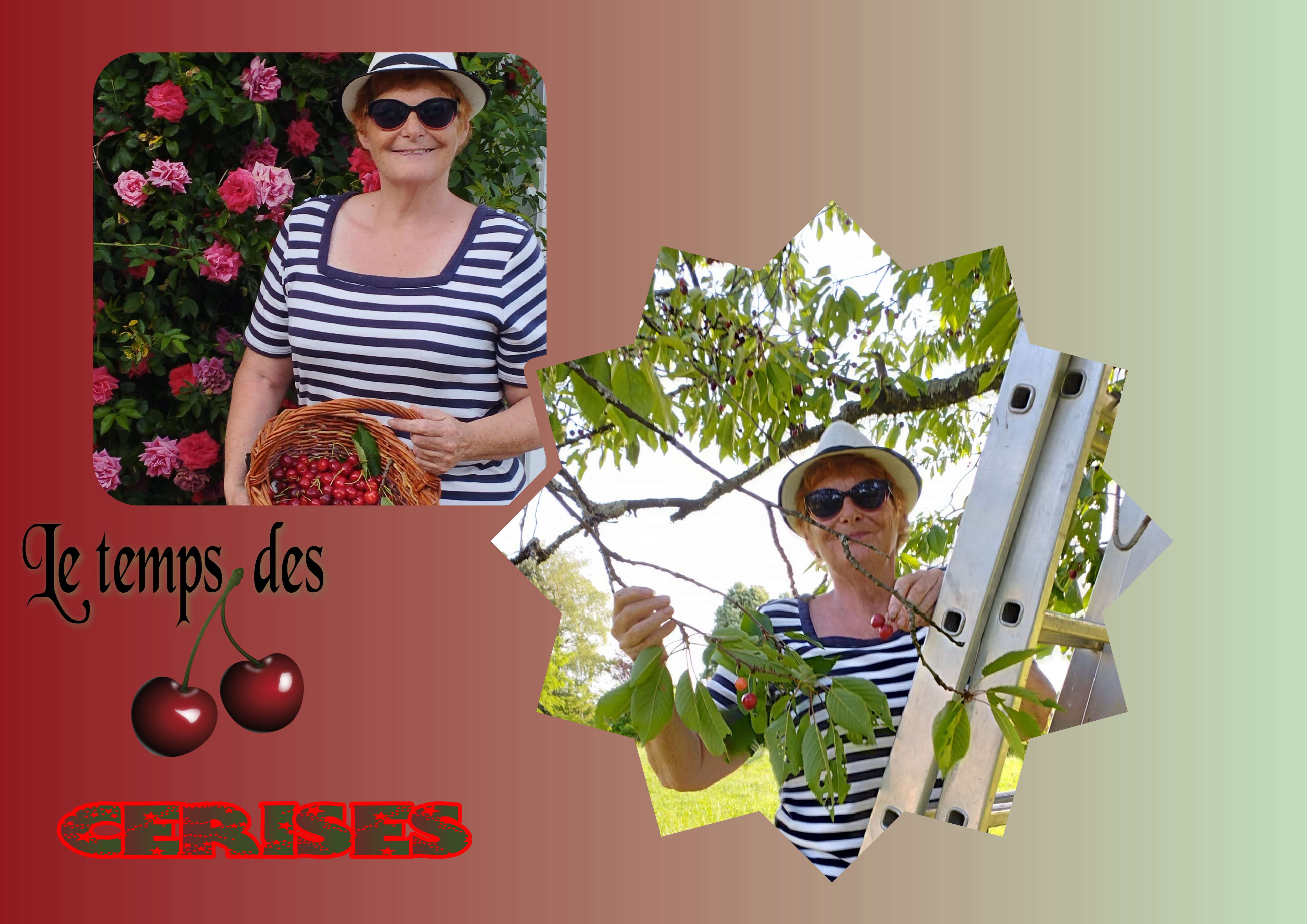 le temps des   cerises.jpg