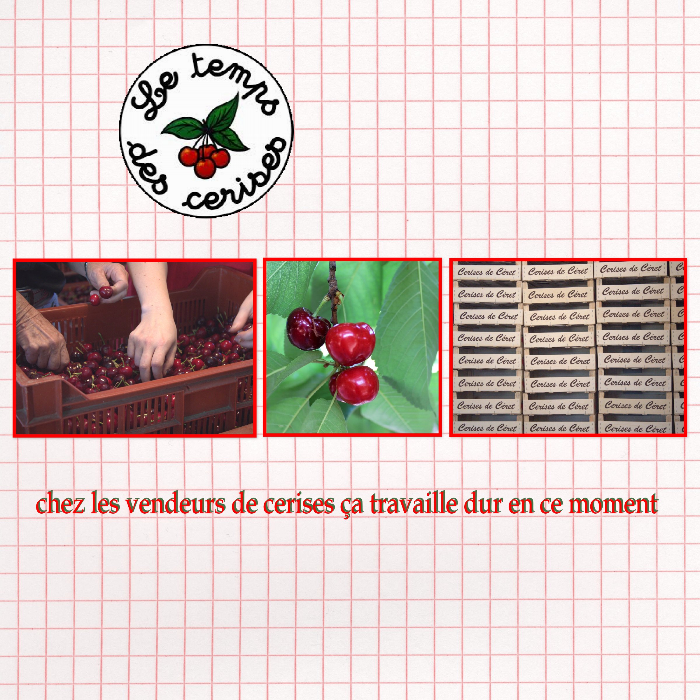 le temps des cerises.jpg