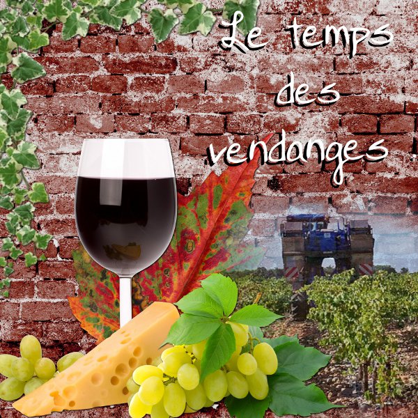 Le temps des vendanges de Desclics - 3-