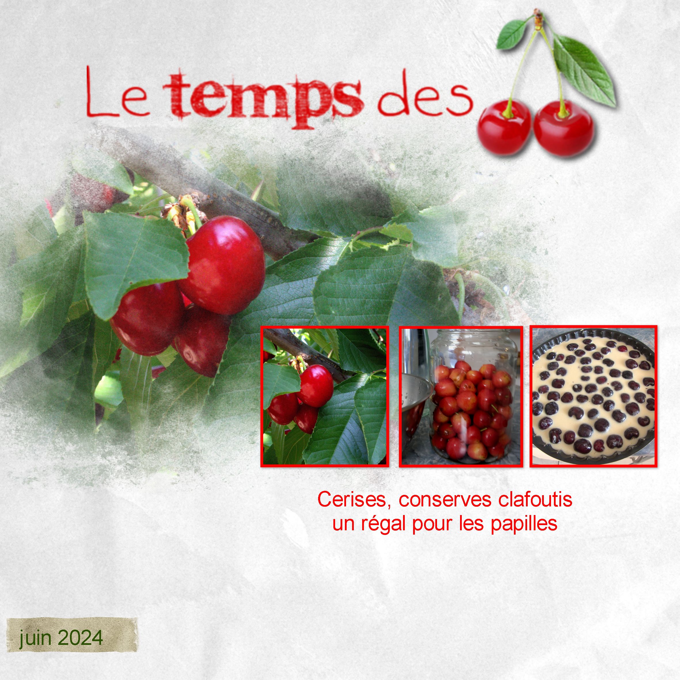 le tempsdes cerises .jpg