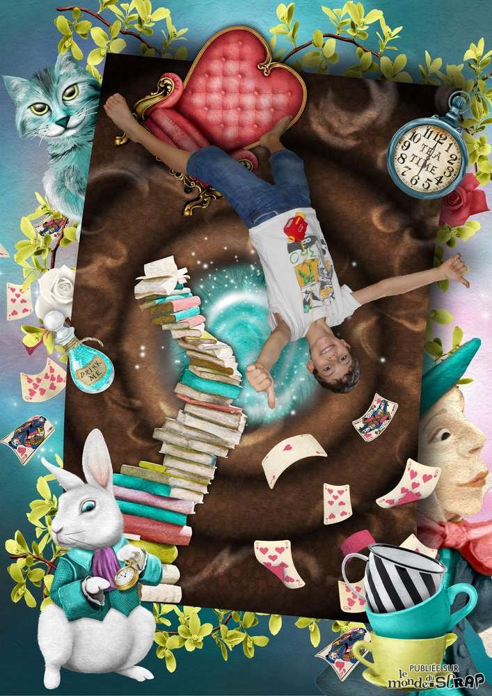 Le-terrier-du-lapin-blanc