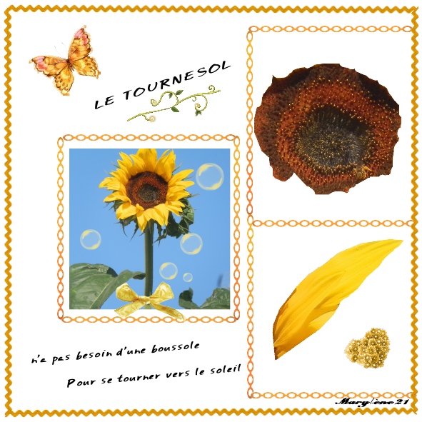 LE TOURNESOL Défi Aliselle