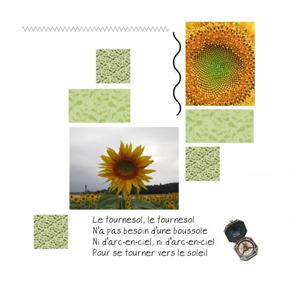 LE TOURNESOL