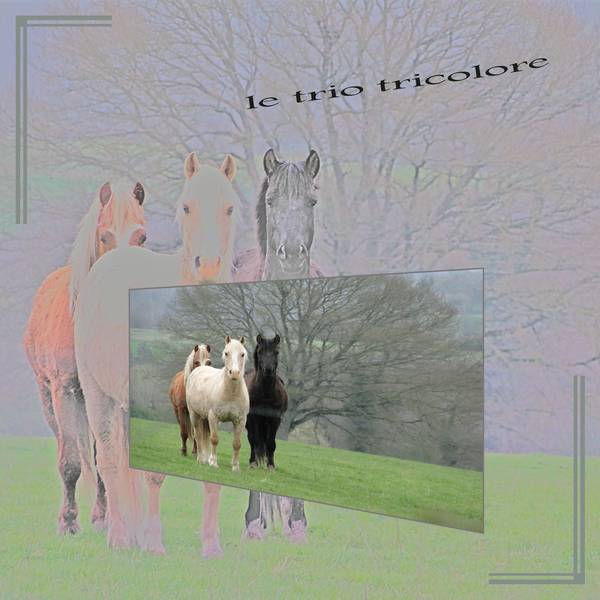 le trio tricolore