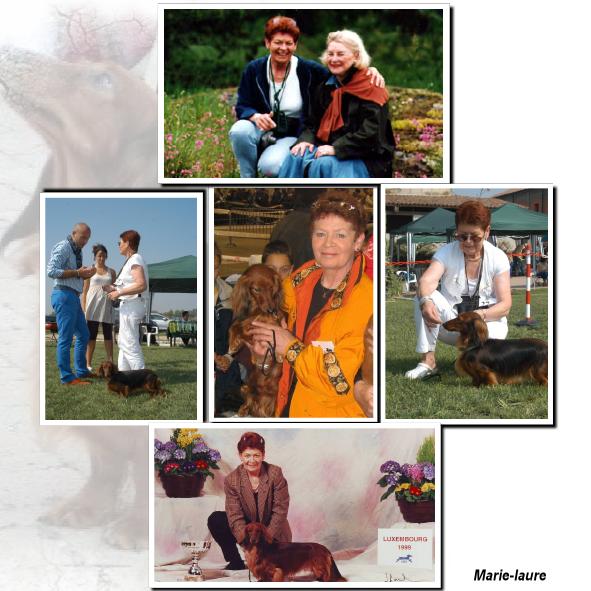 Le Trombinoscope d'une passionnée de teckels ...