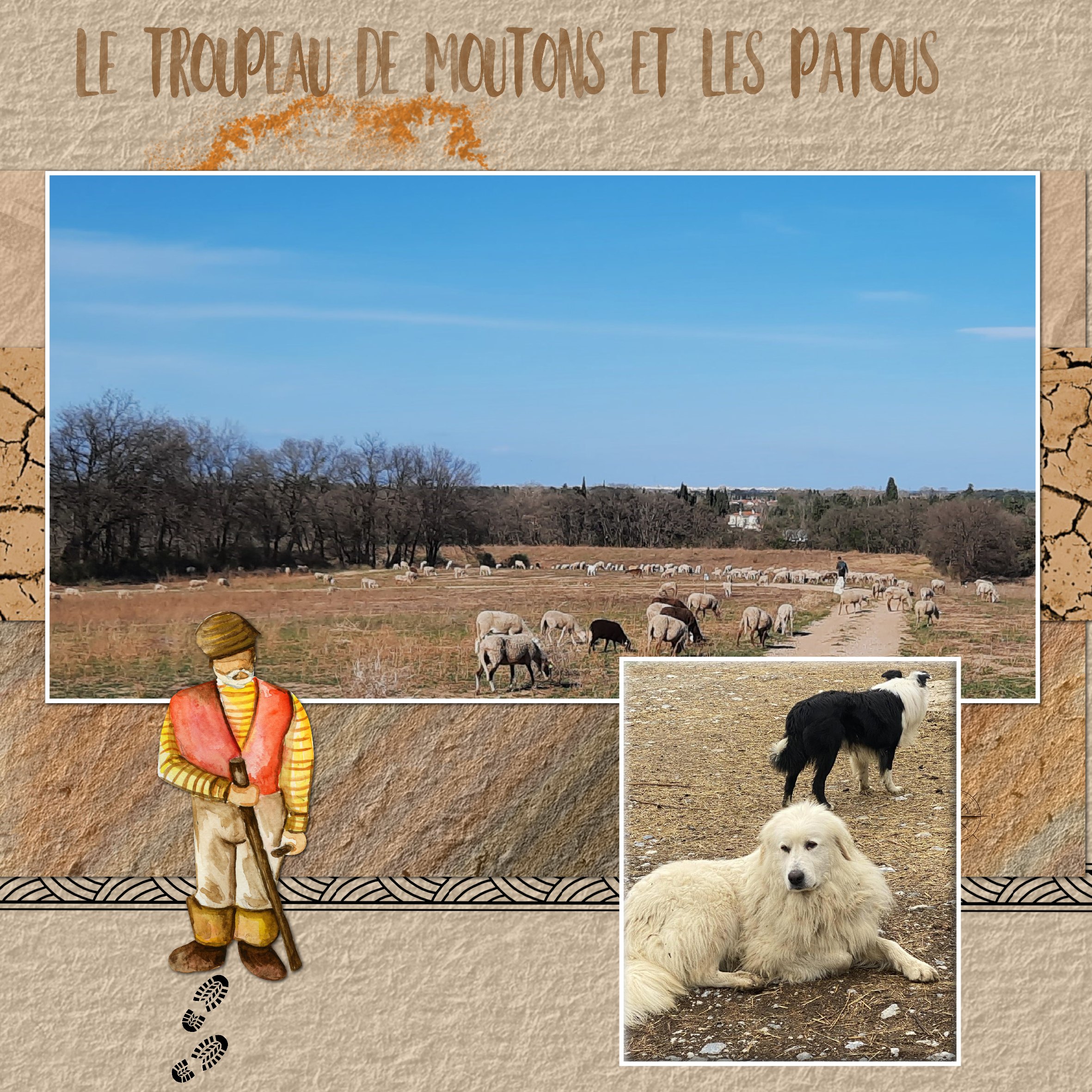 le troupeau de moutons .jpg