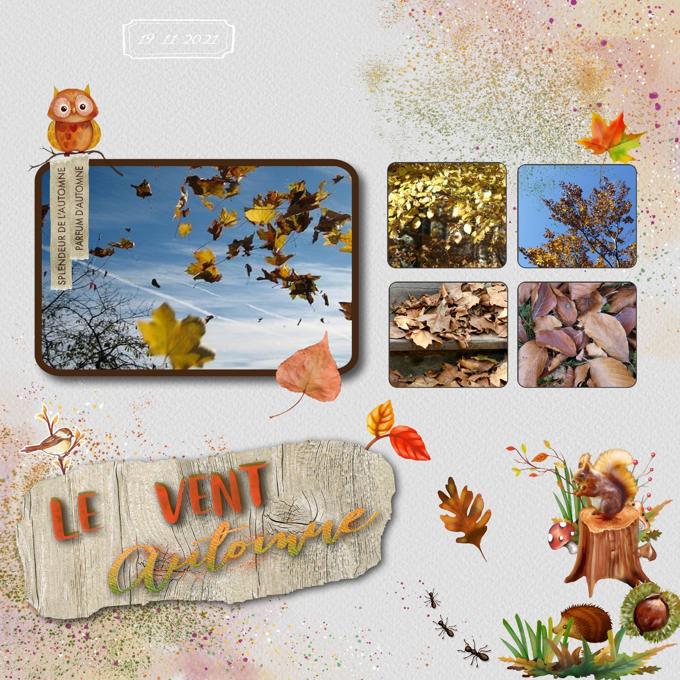 le vent d'automne .jpg