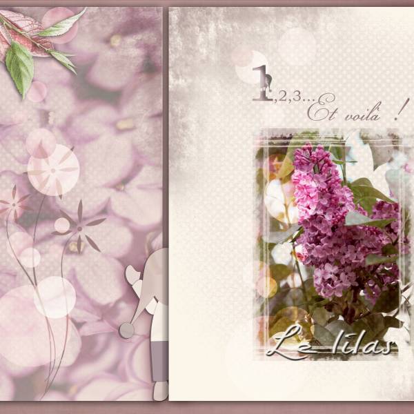 Le voilà le lilas