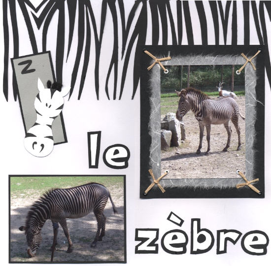 le zèbre-gauche