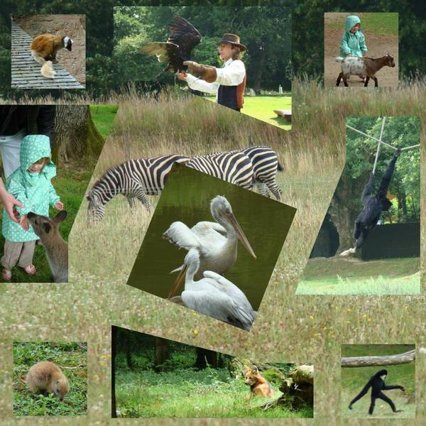 Le zoo de branférer