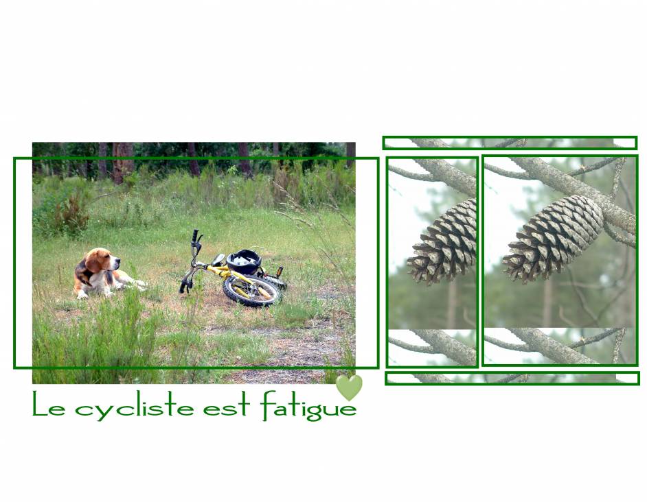 le_cycliste_fatigu_