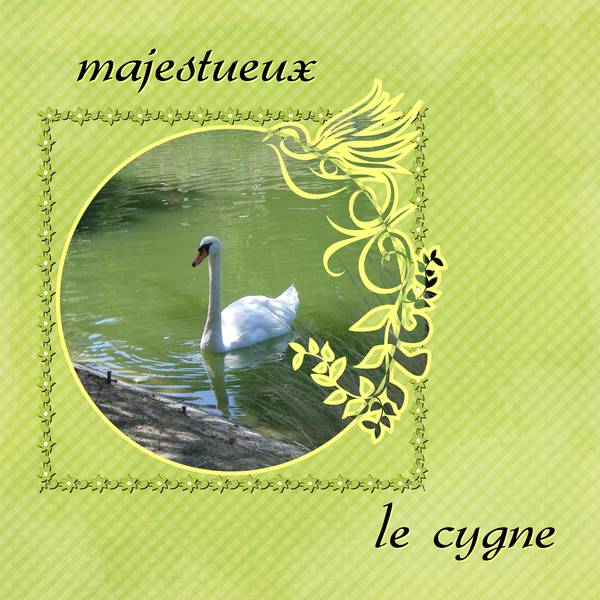 le_cygne1