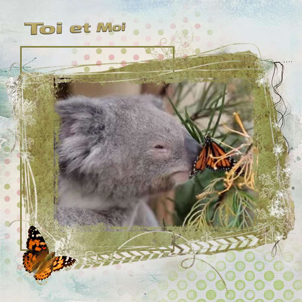 Le_koala_et_le_papillon