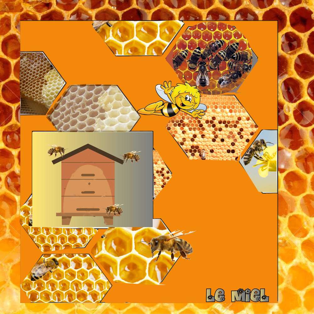 le_miel1