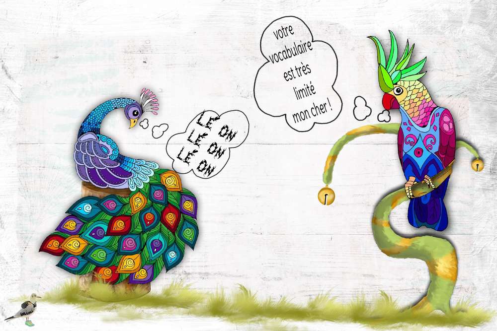 le_paon_et_le_perroquet_____