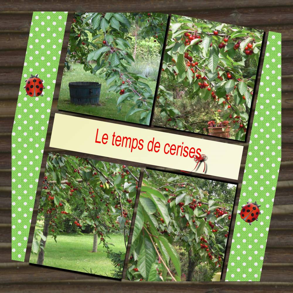 le_temps_des_cerises