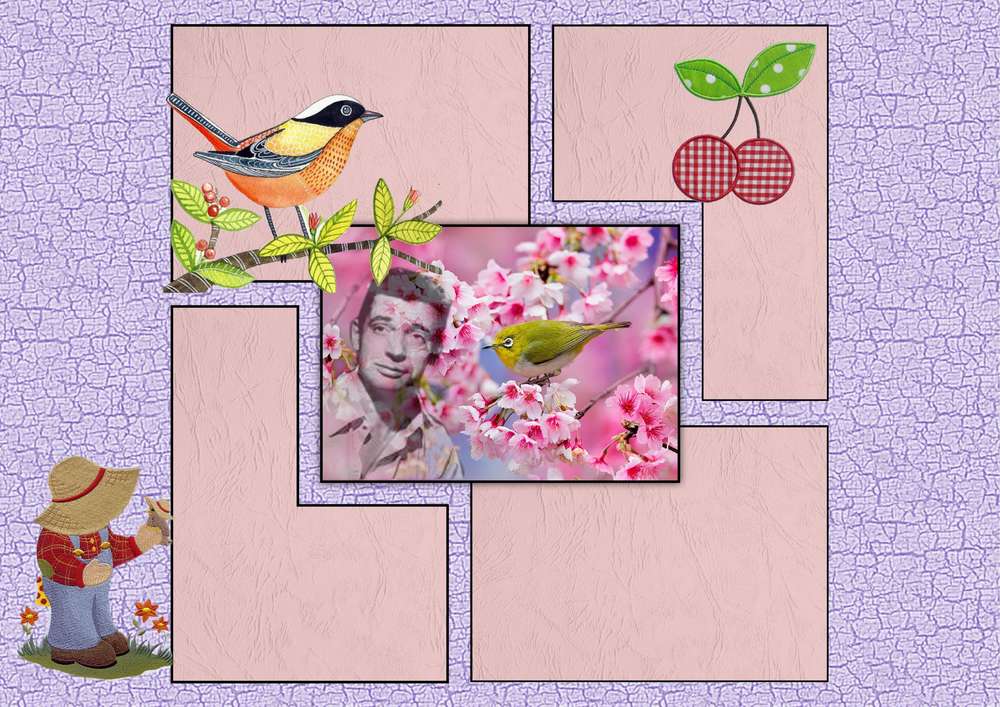 LE_TEMPS_DES_CERISES3