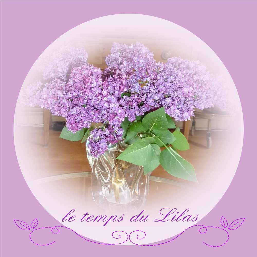le_temps_du_lilas