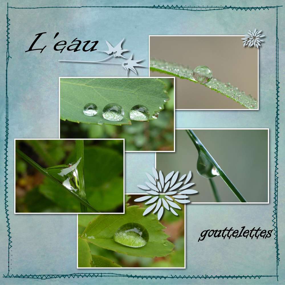 L'eau en gouttes