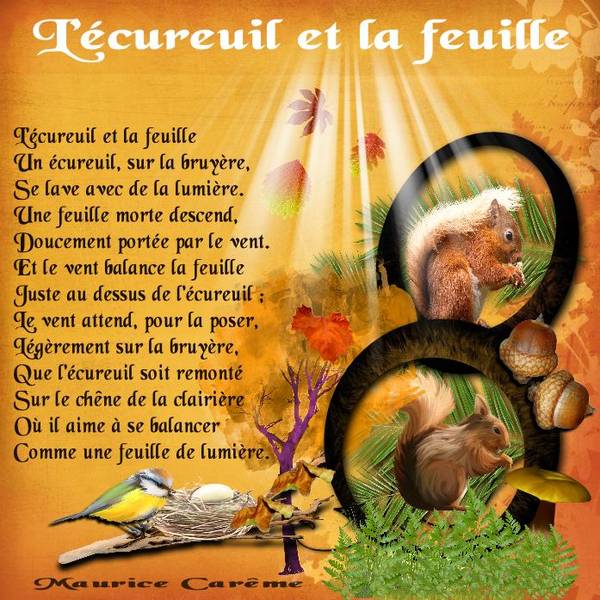 l'écureil et la feuille