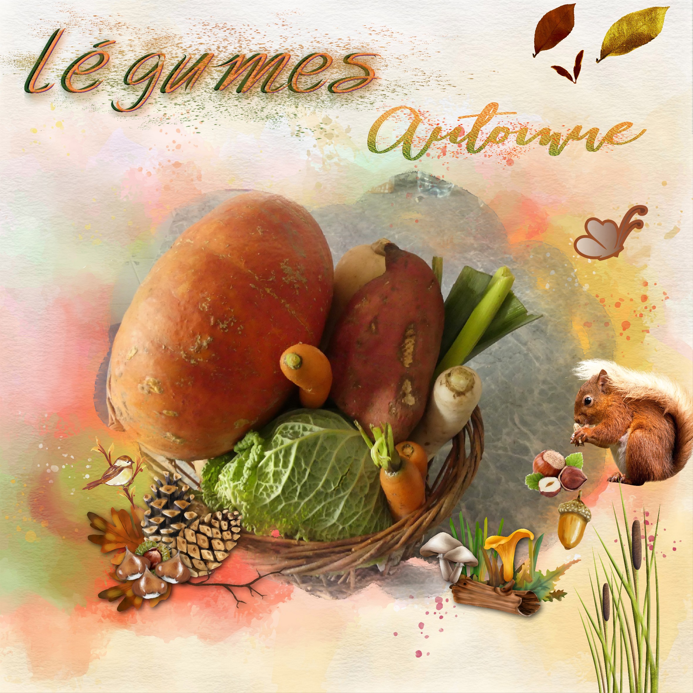 légumes du jardin .jpg