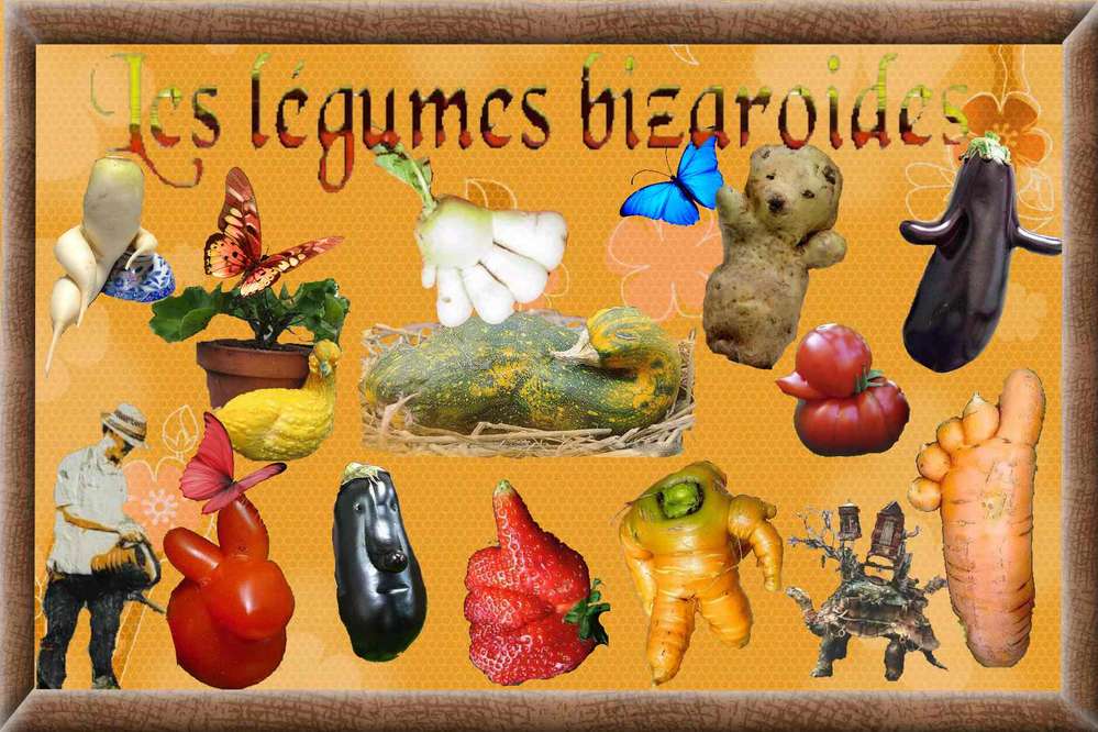 Legumes originaux