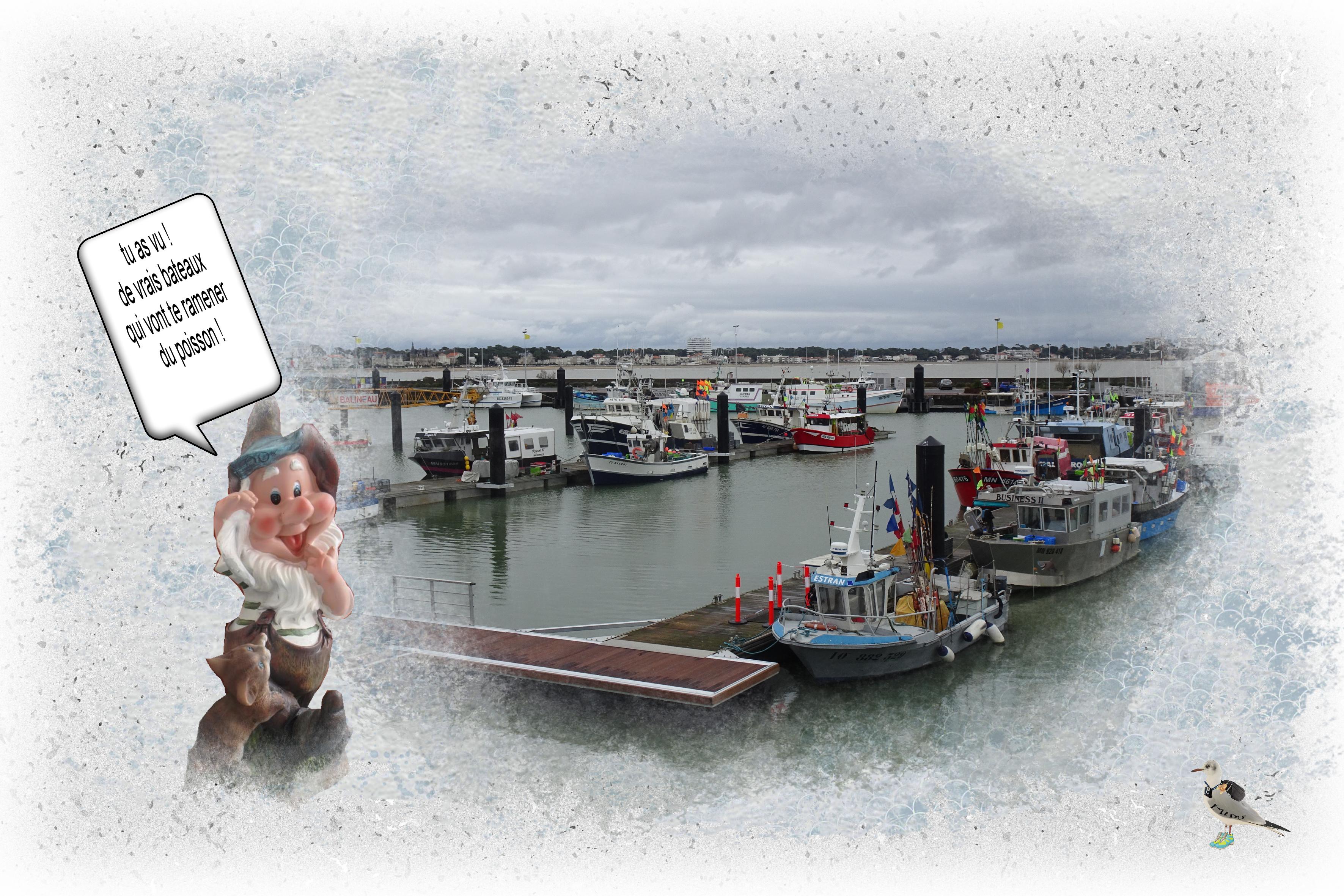 l'elfe visite le port-28 déc.jpg