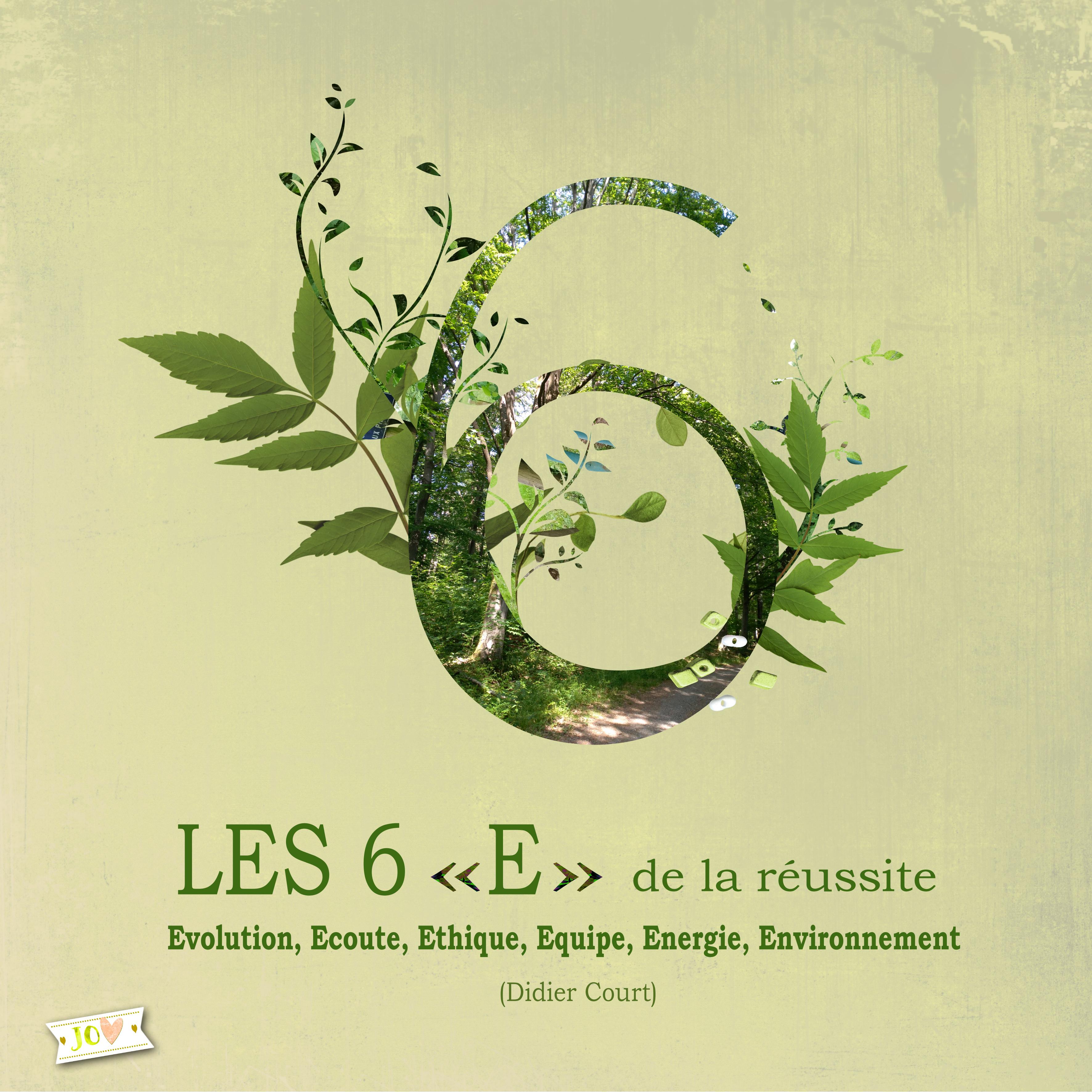 les 6 "E".jpg