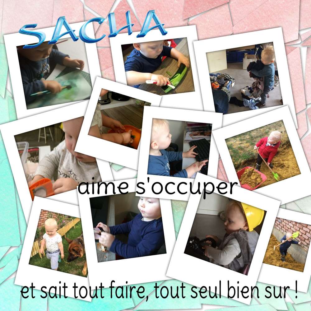 les activités  de Sacha