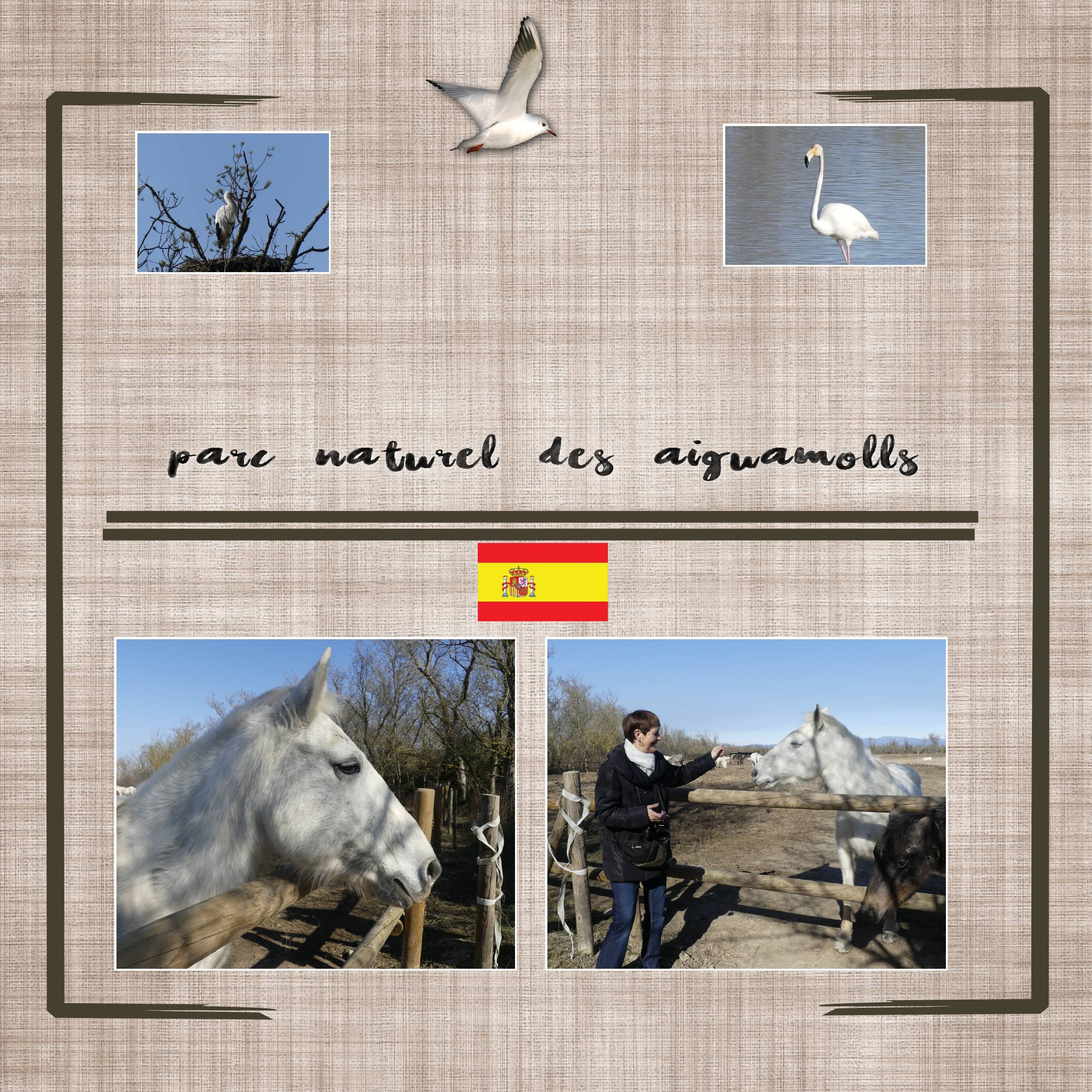 les Aiguamolls -2.jpg