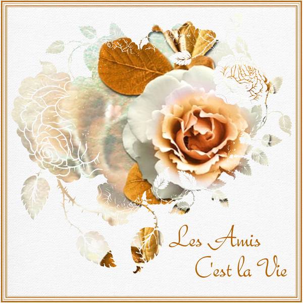 LES AMIS   C'EST LA VIE