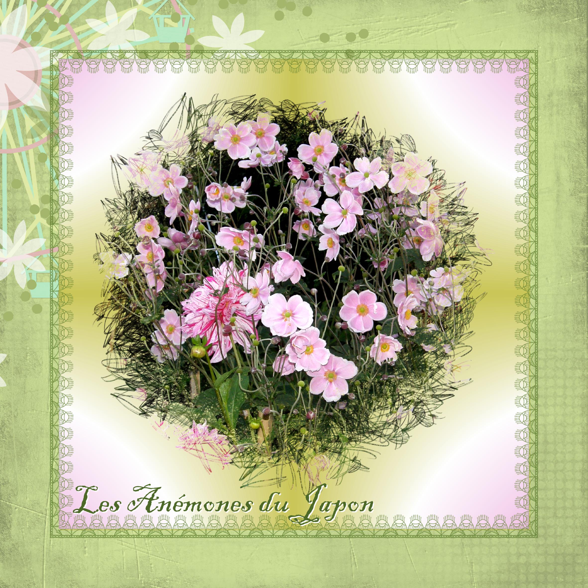 Les Anémones du Japon.jpg
