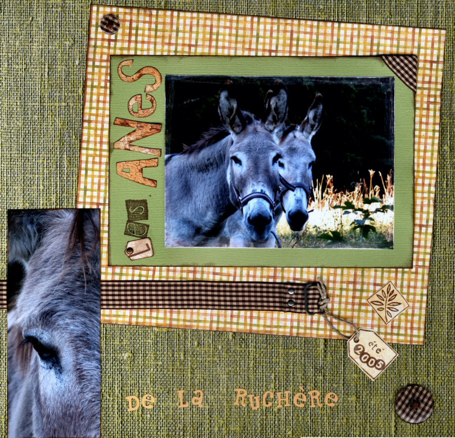 les Anes de la ruchère