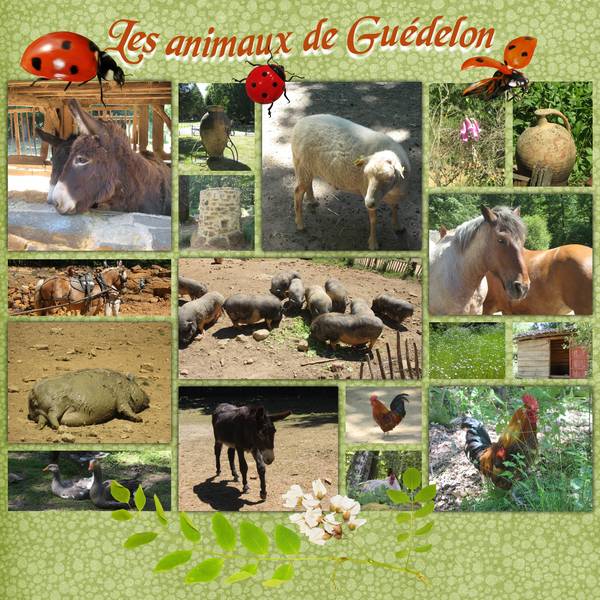 Les animaux de guédelon