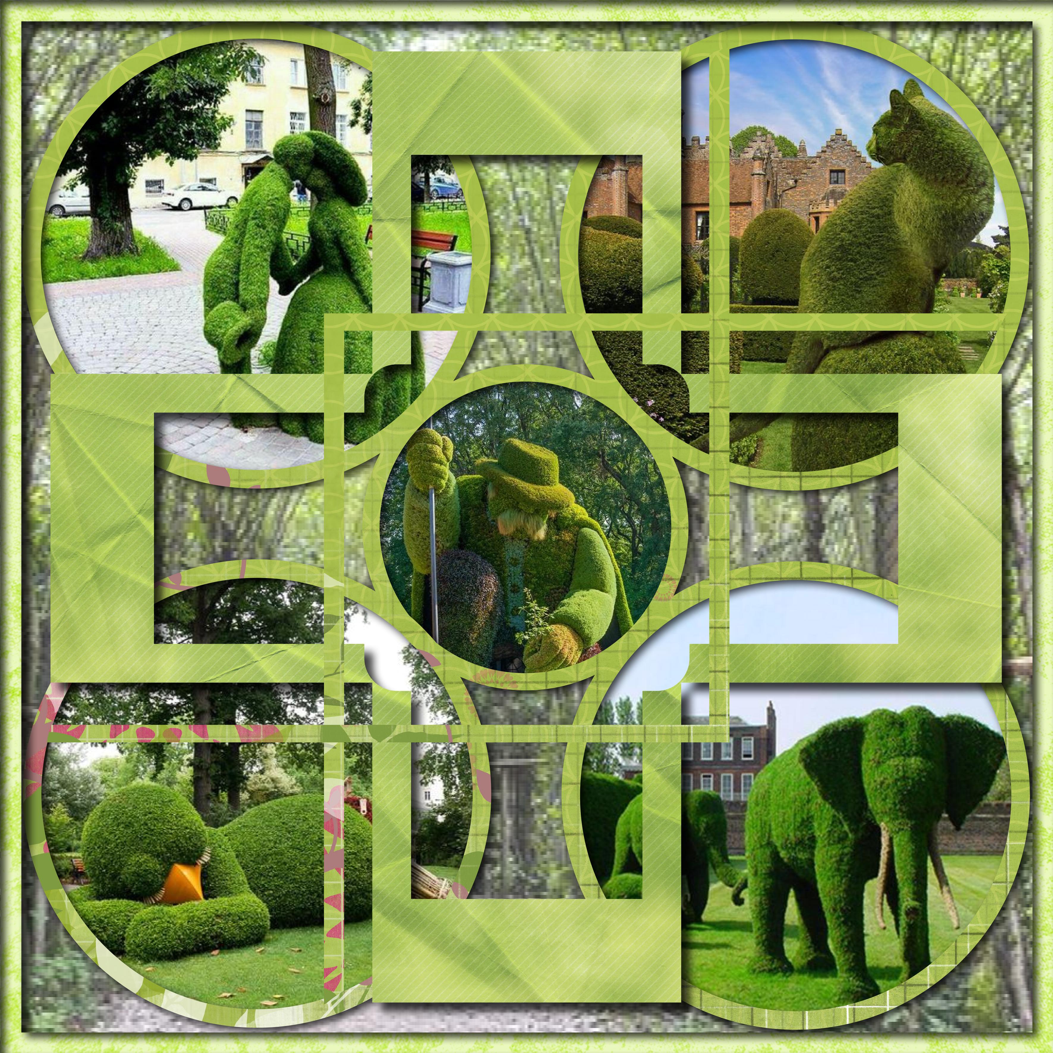 les arbustes taillés.jpg