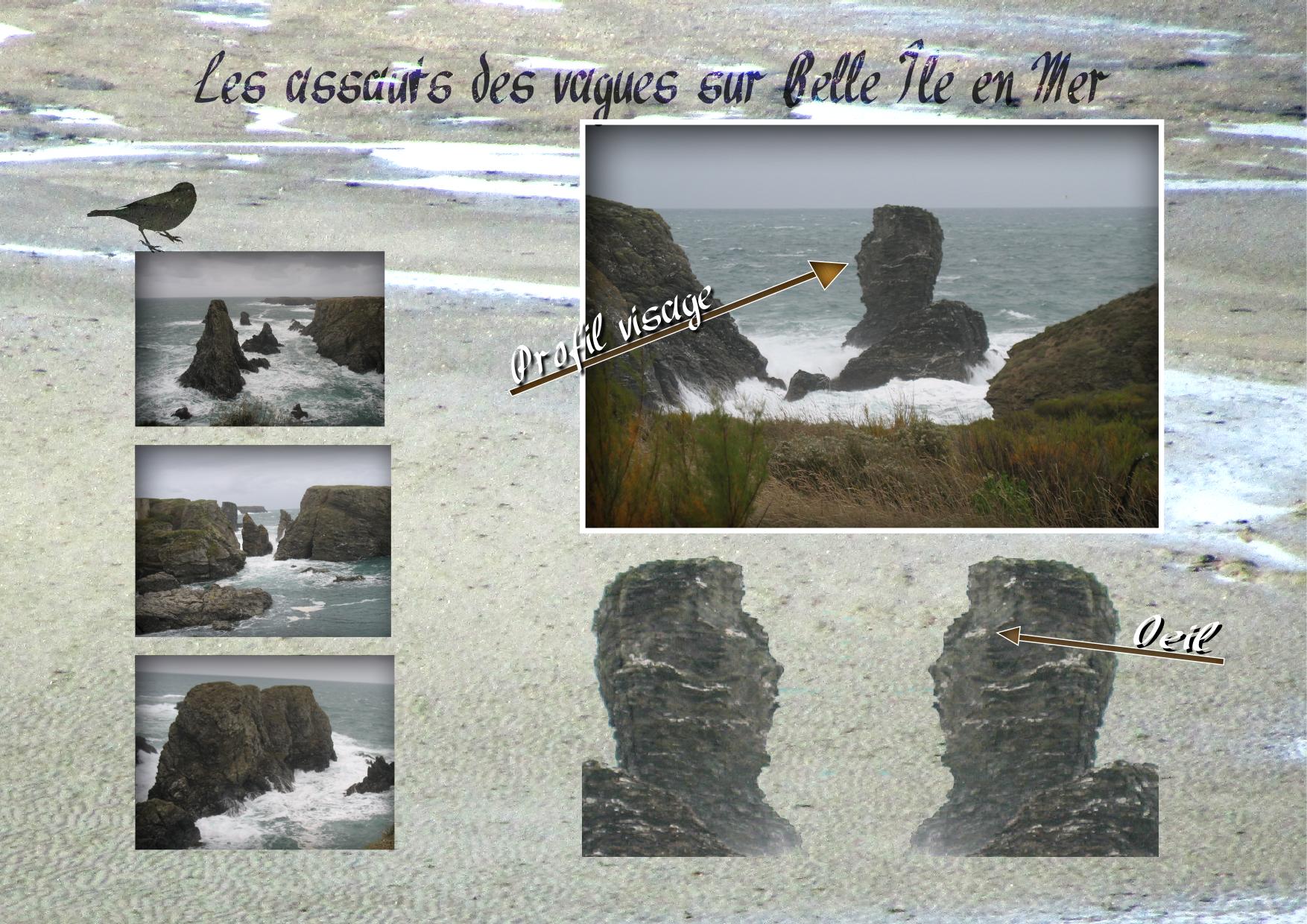 Les assauts des vagues.jpg