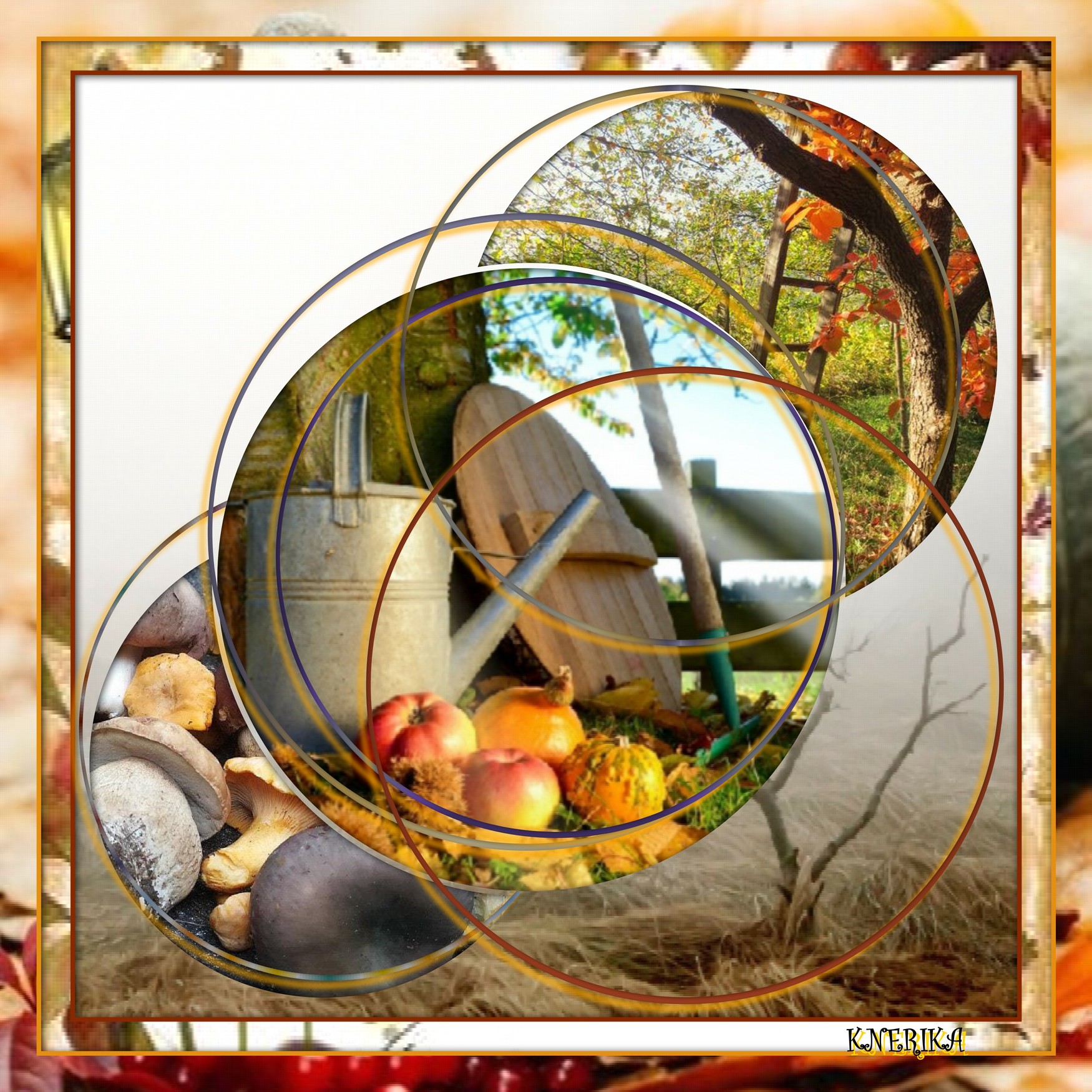 les automnes de l'enfance Anne Marie.jpg