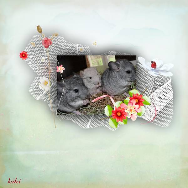 les bb de Velvet et Churros !!!